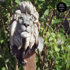 Duncan Harrison & Ian Murphy // Slow Lightning LP