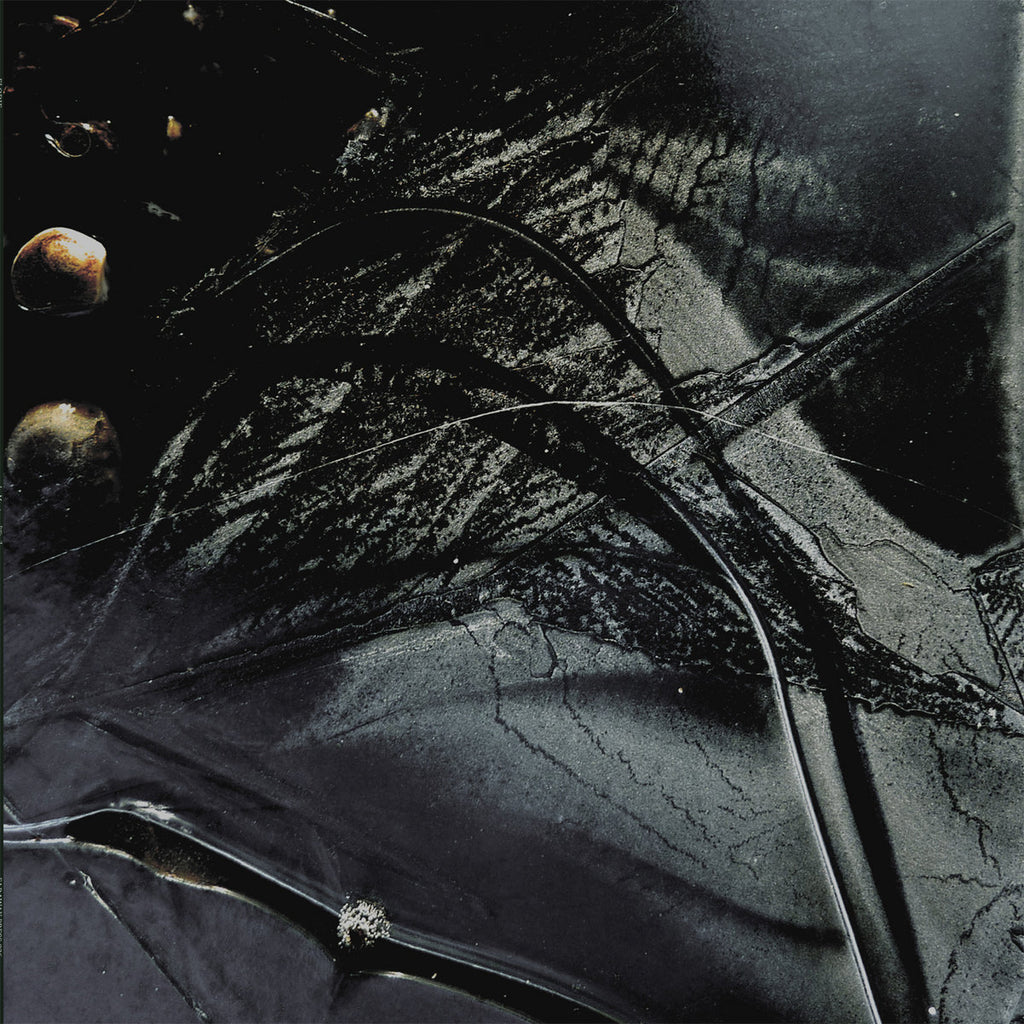 Elodie // LE MANTEAU D'ETOILES LP