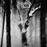 Bruno Duplant // paysages sans âge III CD