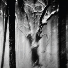 Bruno Duplant // paysages sans âge III CD