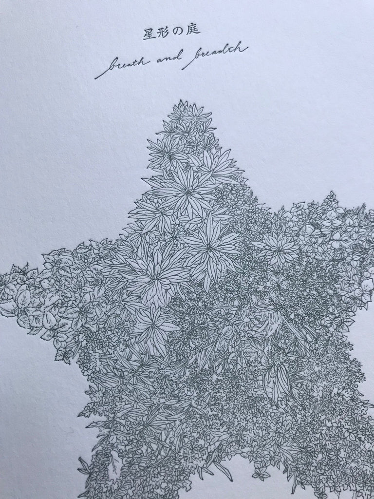 星形の庭 // breath and breath CD