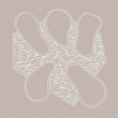 John Edwards / Andrew Lisle / Dirk Serries / Colin Webster // Peck and Fleet LP