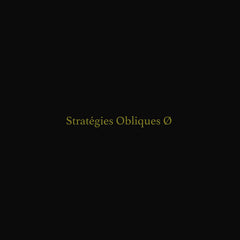 Steve Roden / Small Cruel Party // Stratégies Obliques Ø LP