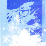 Hviledag // Søgen Ad Brugte Ruter TAPE