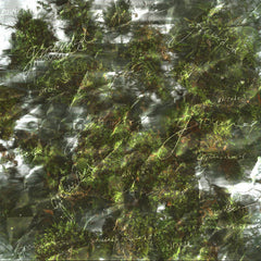 aircode // Grounded CD