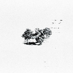 Porter // дуализм TAPE