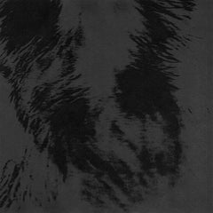 Ivan Zoloto // Black Album TAPE