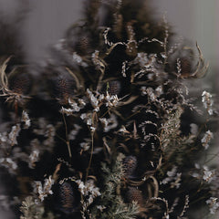 Am Shhara // Shinsoko TAPE