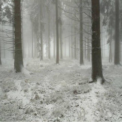 Köhn // Arbres CDR