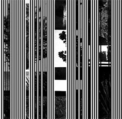 Jake Meginsky // Bassline 2x7"