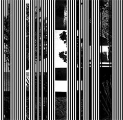 Jake Meginsky // Bassline 2x7"