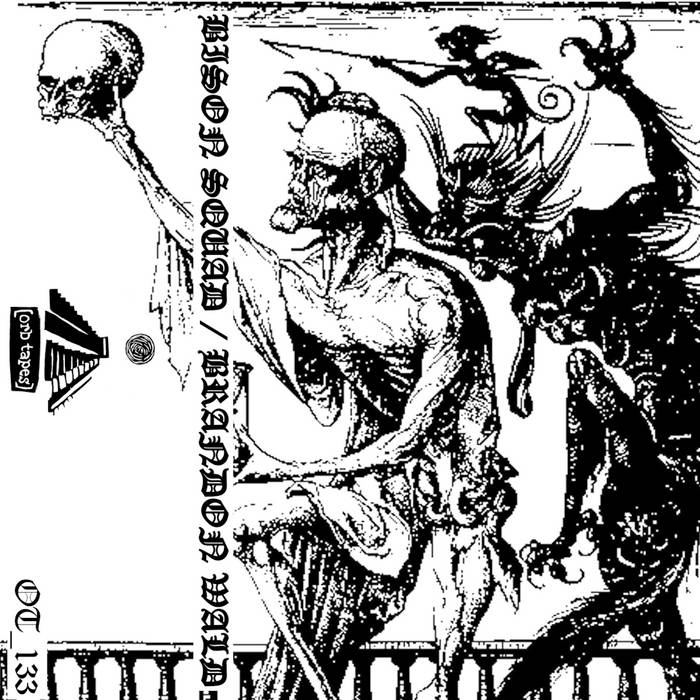 Bison Squad / Brandon Wald // Split TAPE