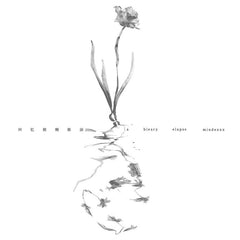 mindexxx // 回忆模糊推演(A Bleary Elapse) LP