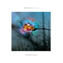 Blinkar från Norr // Metaphors For Things 2xLP