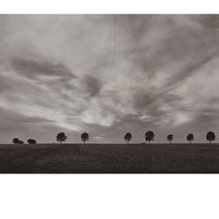 Jürg Frey & Apartment House // Borderland Melodies CD