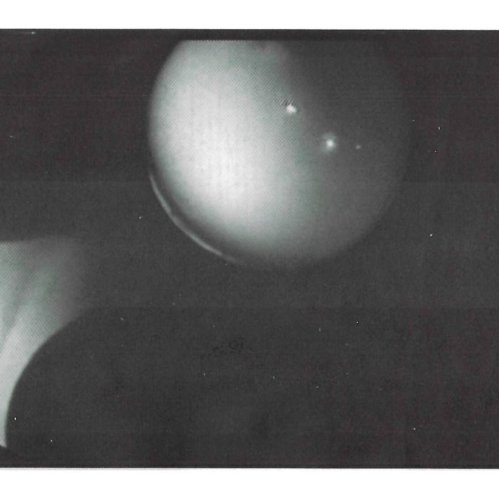 Pool // Bok Director TAPE