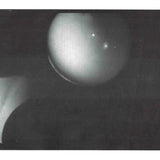 Pool // Bok Director TAPE