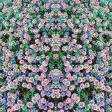 Sara Berts // Braiding Fragments TAPE