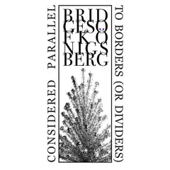 Bridges of Königsberg // Considered Parallel to Borders (Or Dividers) TAPE