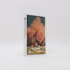 andPlay & Victoria Cheah // A Butterfly On Your Shoulder Into Years And Years To Come TAPE