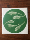 Angelo Bignamini // Bugs CDR