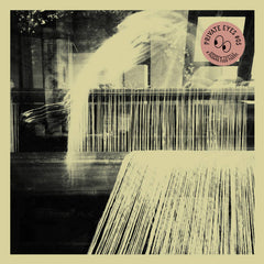 Andrew Tuttle & Padang Food Tigers // A Cassowary Apart LP