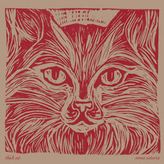Thick Air // Soma Cataria TAPE