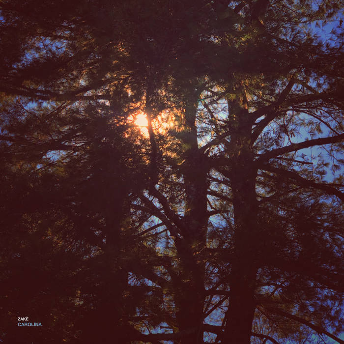 zakè // Carolina LP