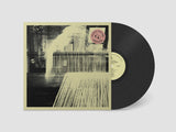 Andrew Tuttle & Padang Food Tigers // A Cassowary Apart LP