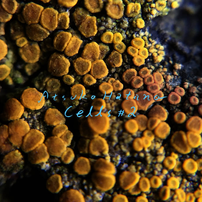 Atsuko Hatano // Cells #2 CD / TAPE