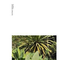 R. Pierre // Ground Circuits CDR