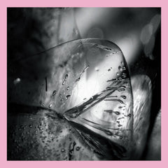 Loscil // Clara 2xLP