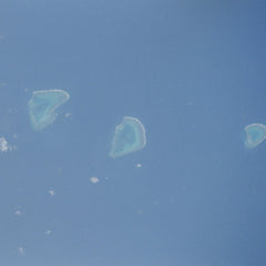 Celer // Coral Sea CD