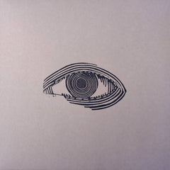 The Vision Reels // Collective Vision LP