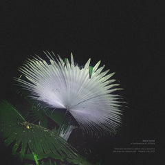 diane barbé // a conference of critters TAPE
