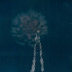 Blanket Swimming // Leaves Painted In A Darker Blue CD