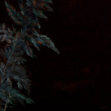 Lucy Roleff & Lehmann B Smith // Dark Green LP