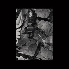 Of Habit // Viable Device LP
