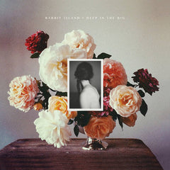 Rabbit Island // Deep in The Big LP