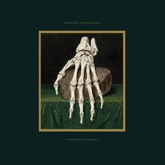 Wanderwelle // A State Of Decrepitude 2xLP
