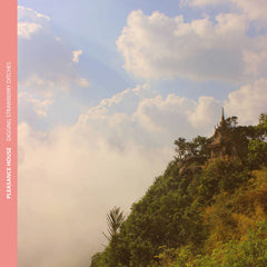 Pleasance House // Digging Strawberry Ditches TAPE