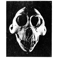 Controlled Bleeding // Distress Signals I & II 2xTAPE