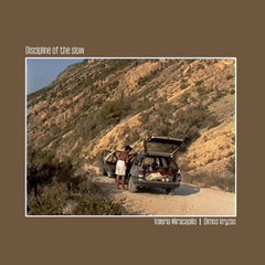 Valeria Miracapillo | Dimos Vryzas // Discipline of the Slow CD