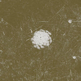 Bill Seaman and Stephen Vitiello // The Clear Distance CD