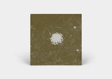 Bill Seaman and Stephen Vitiello // The Clear Distance CD