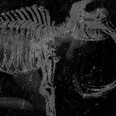 Band'O'Mammoth // A Digestible Society TAPE + ZINE