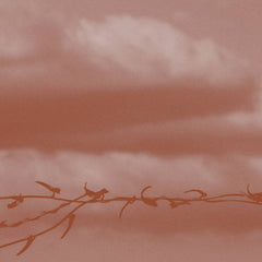 Geneva Skeen // Double Bind CD