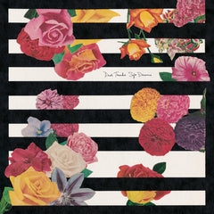 Dear Tracks // Soft Dreams 10"