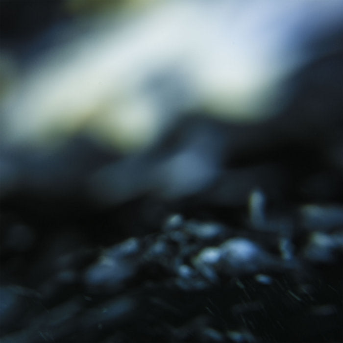 ASC // Fervent Dream 2xLP