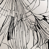 Munition // Duality Tears TAPE